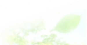 top_bg_box